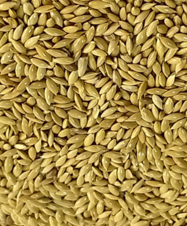 Alpiste Aloncio 500g
